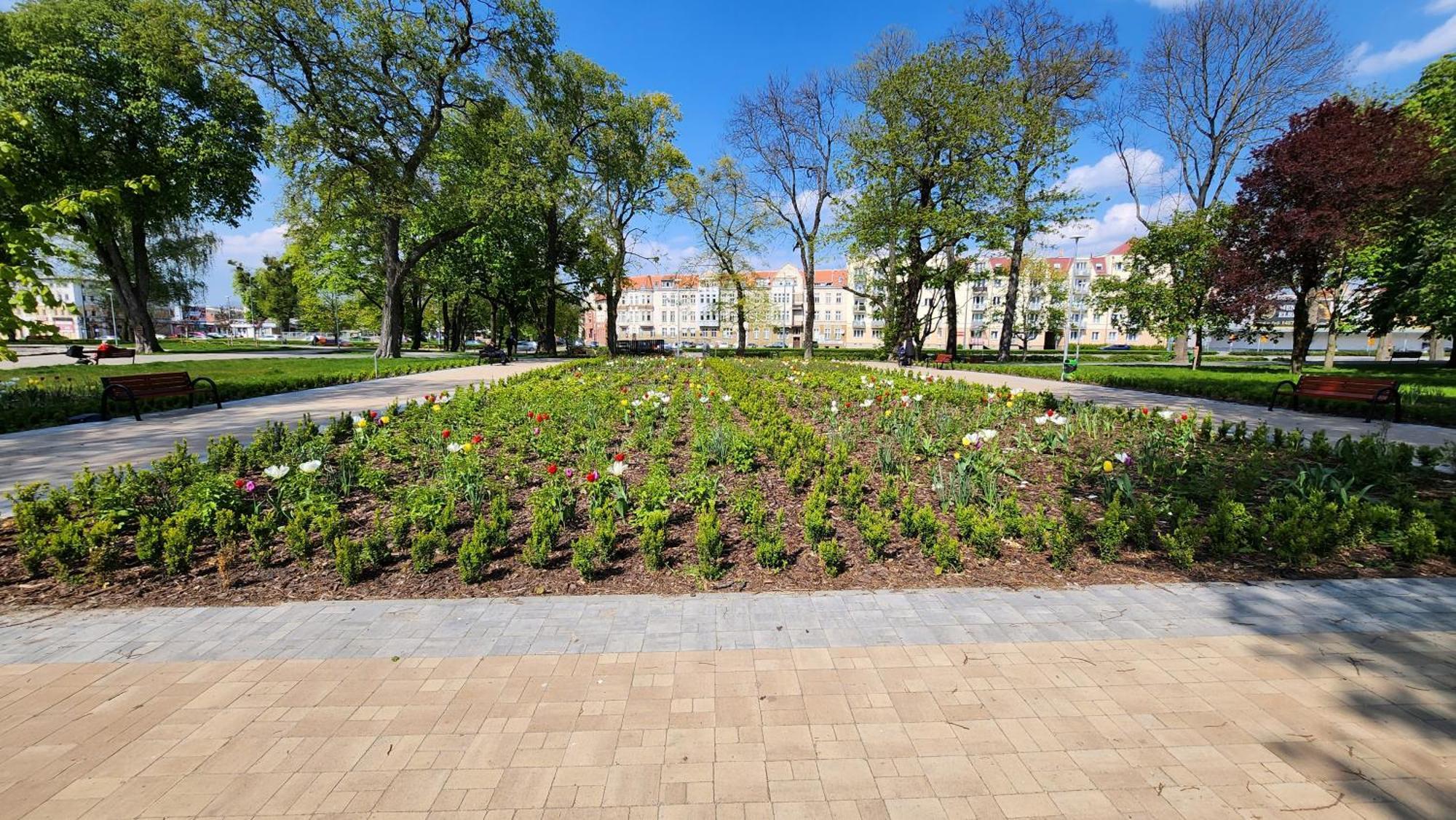Apartament Garncarska Elblag Dış mekan fotoğraf